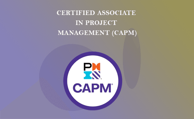 Certified Associate in Project Management (CAPM) Training