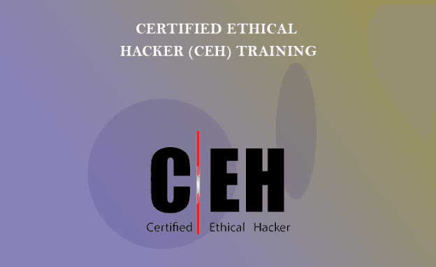 Certified Ethical Hacker (CEH)