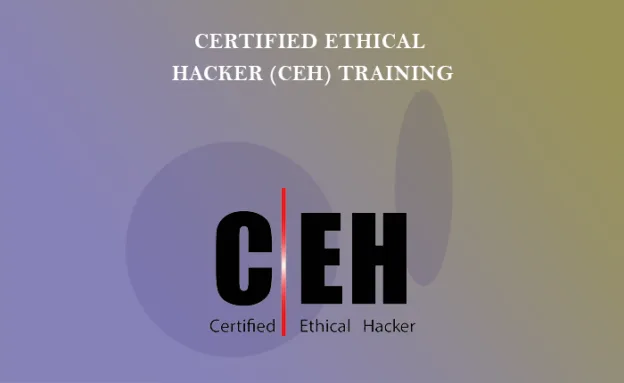 Certified Ethical Hacker (CEH)
